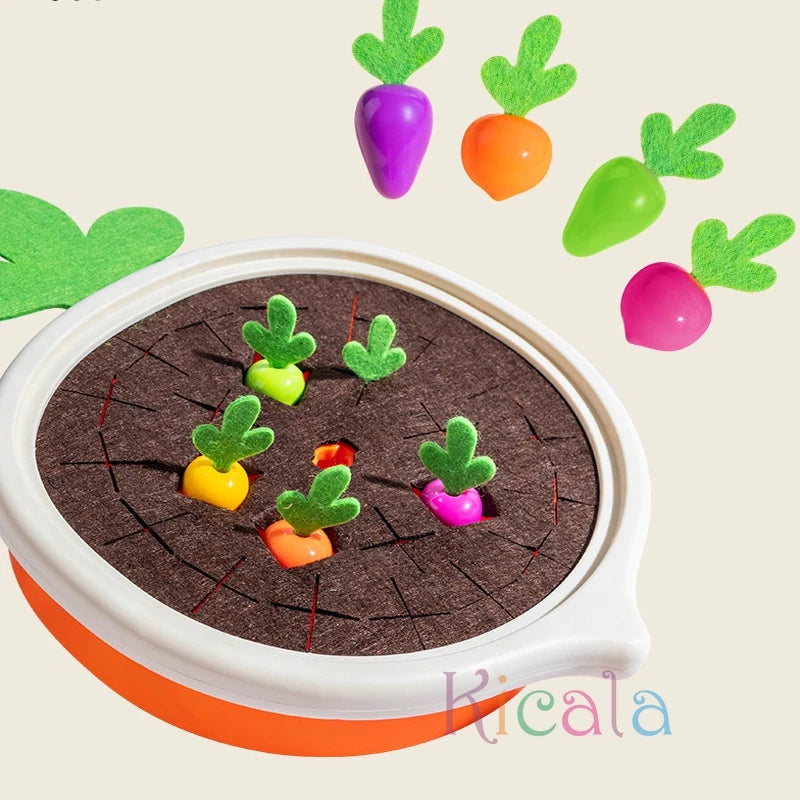 Toy Pull Carrot Set.