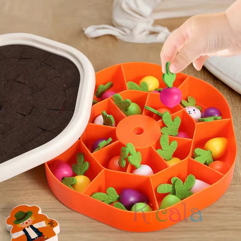 Toy Pull Carrot Set.